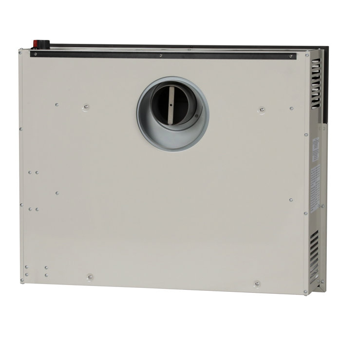 Ashley Hearth 25,000 BTU Direct Vent Convection Wall Mounted Heater